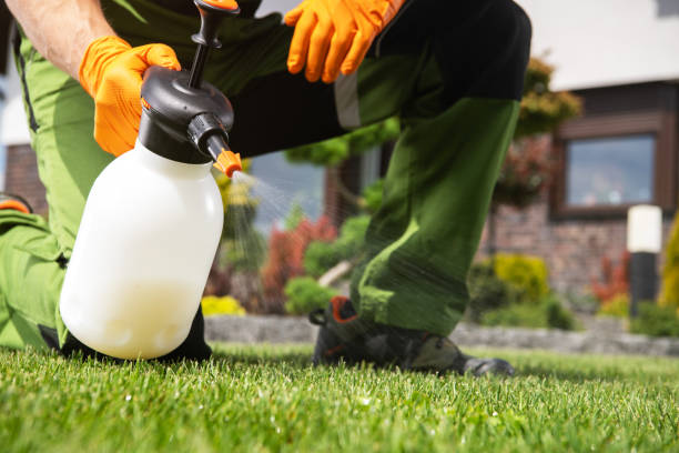 Best Termite Control Services  in Chenango Bridge, NY