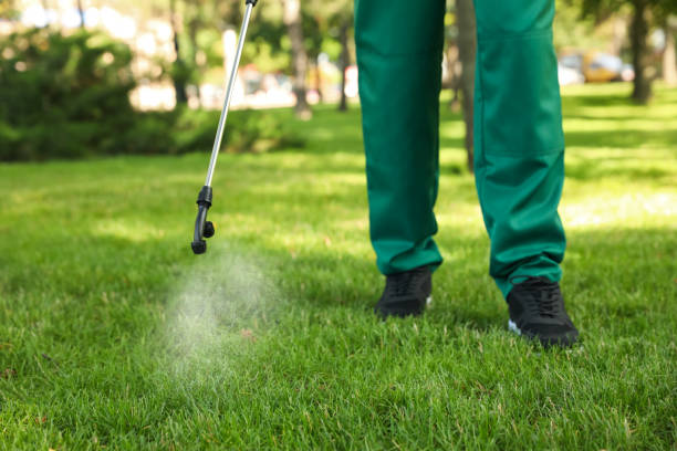 Best Best Pest Control Companies  in Chenango Bridge, NY