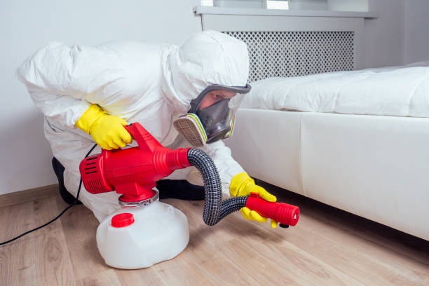 Best Pest Control Near Me  in Chenango Bridge, NY