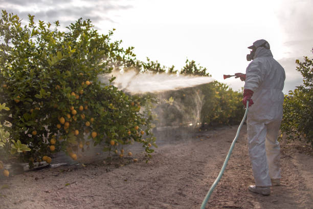 Best Best Pest Control Companies  in Chenango Bridge, NY