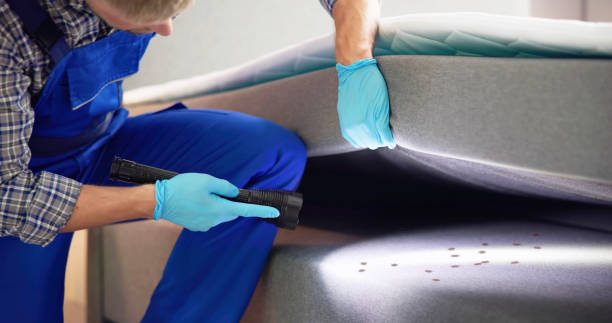 Best Pest Removal Services  in Chenango Bridge, NY